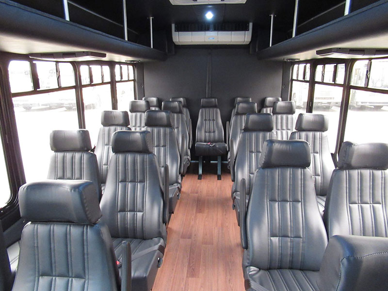 VIP Shuttle Bus interior